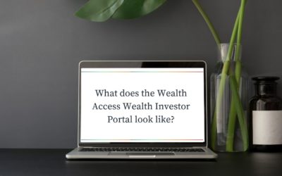 What Does the Wealth Access Investor Portal Look Like?